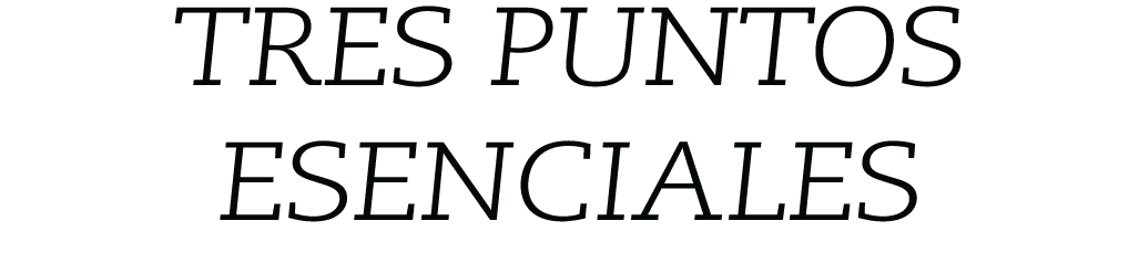 TRES PUNTOS ESENCIALES