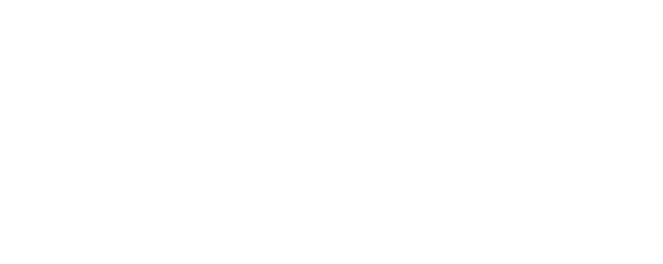 MONOPOLIZAN UN NUEVO R CORD BAJO PALOS