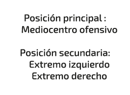  Posici n principal : Mediocentro ofensivo Posici n secundaria: Extremo izquierdo Extremo derecho 