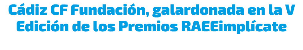 C diz CF Fundaci n, galardonada en la V Edici n de los Premios RAEEimpl cate