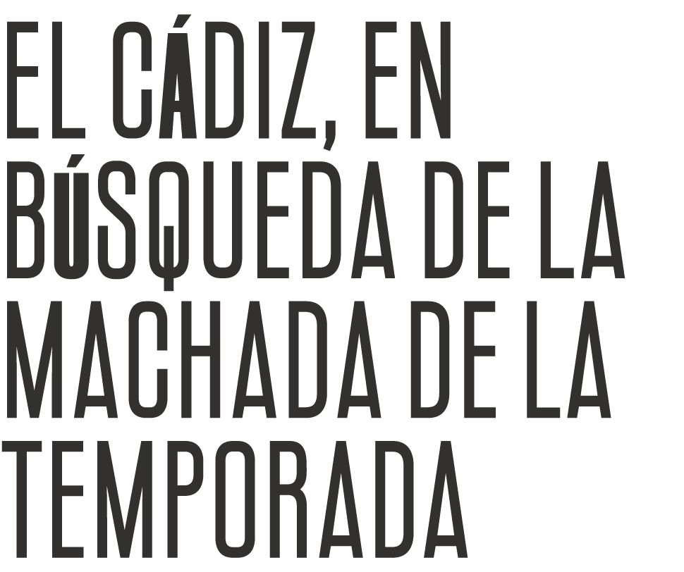 EL C DIZ, EN B SQUEDA DE LA MACHADA DE LA TEMPORADA
