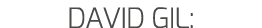 DAVID GIL: