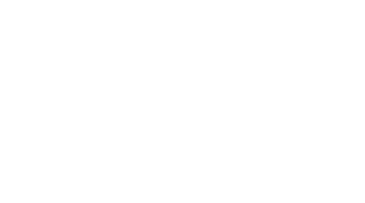 La fortaleza como local del C diz CF