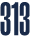 313