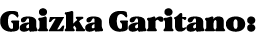 Gaizka Garitano: