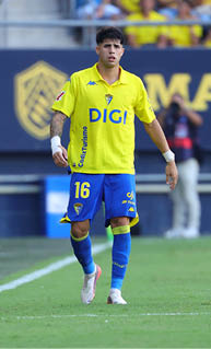 A person wearing a yellow and blue soccer uniform with the number 16 is walking on a soccer field during a game. Descripci n generada con IA