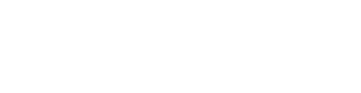 ELDENSE
