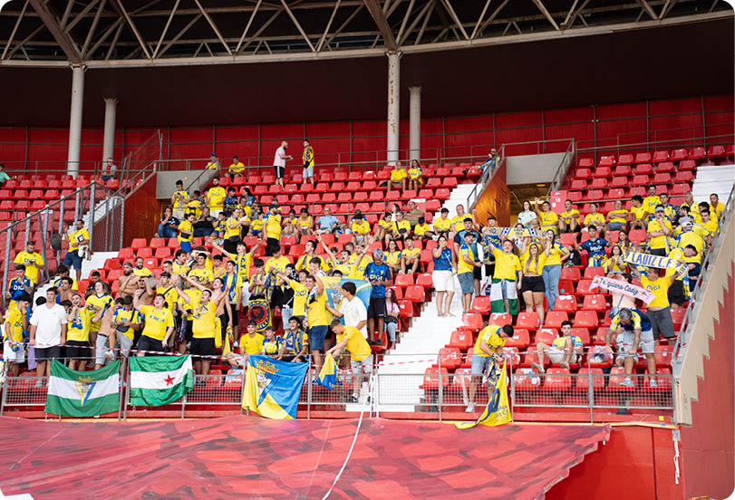 A group of people wearing yellow and blue sports jerseys are cheering and holding flags and banners while seated in red stadium seats. Descripci n generada con IA