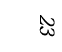 23