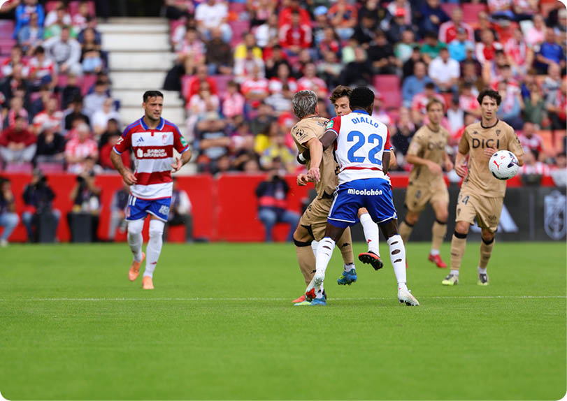 People in sports uniforms are actively playing soccer on a green field with a crowd watching in the background. Descripci n generada con IA