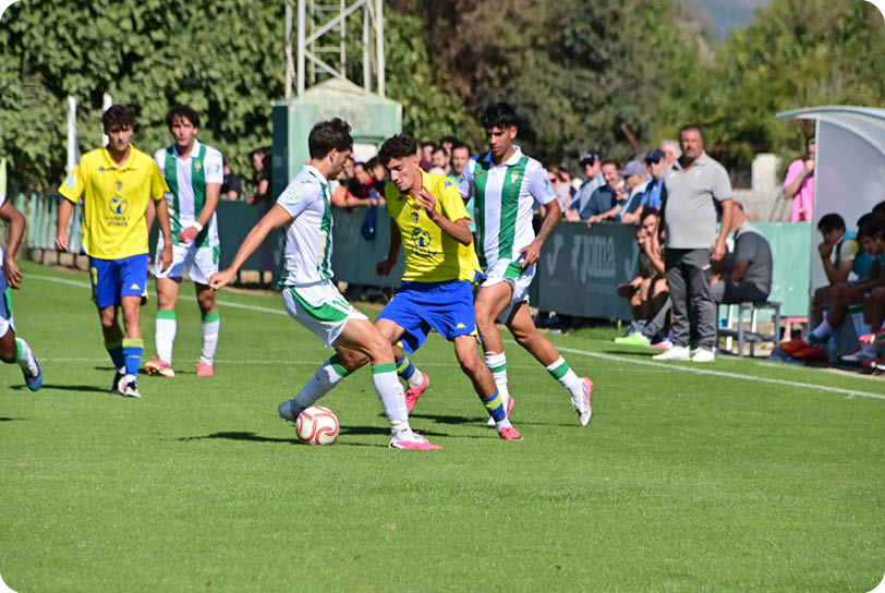 People wearing yellow and blue or white and green sports uniforms are playing soccer on a grassy field with spectators watching from the sidelines. Descripci n generada con IA